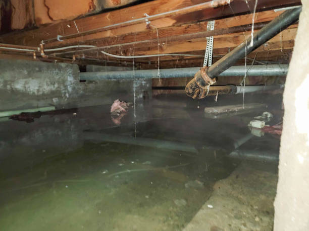 Best Basement water damage restoration  in Cumberland Center, ME
