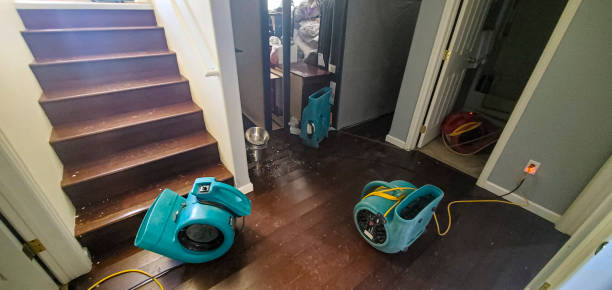 Best Sewage cleanup and water damage restoration  in Cumberland Center, ME